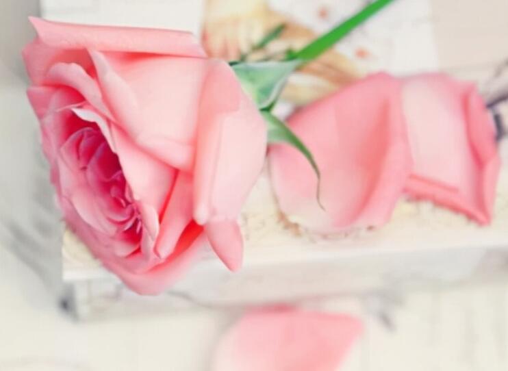 女人从头开始的句子文案