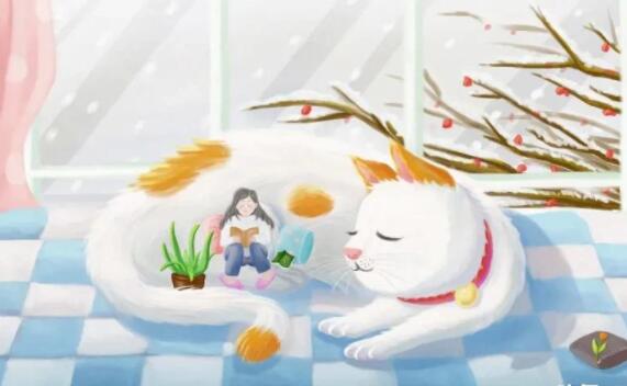 关于坚持的搞笑句子文案