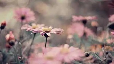 温暖俏皮的句子文案