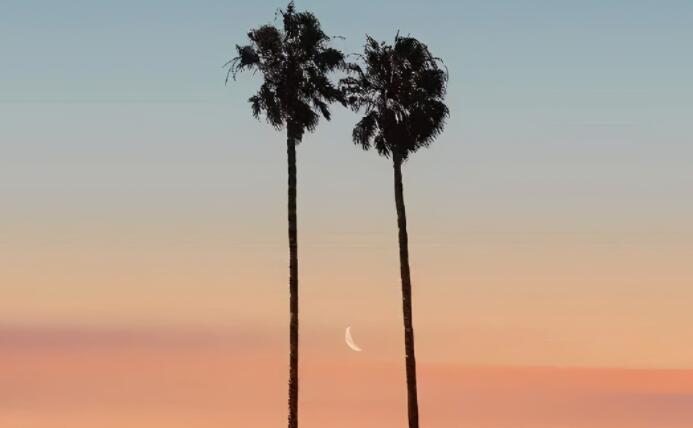 适合中学生摘抄的句子文案有修辞