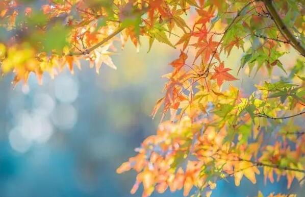 形容景色的句子文案唯美