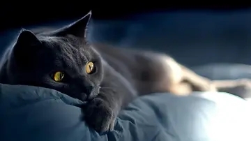 干了一件蠢事后悔句子文案