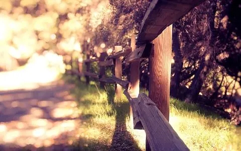 暖心浪漫说说文案短句