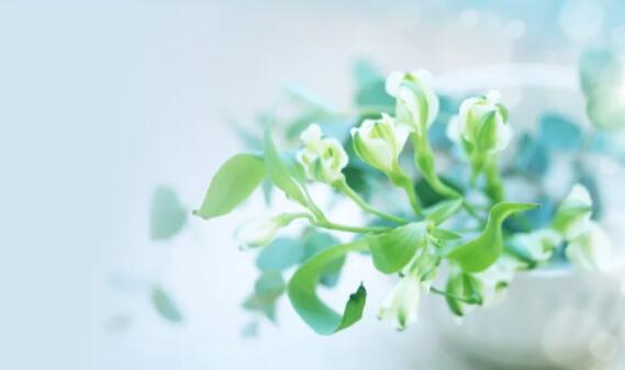 暖心夜话句子文案