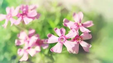 经典心情说说文案短句2024