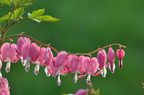 一辈子不想结婚的句子文案