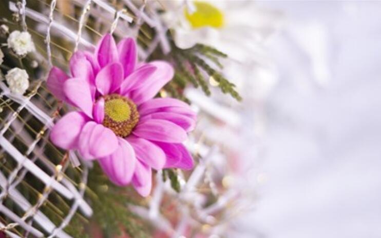 安慰女生的暖心话