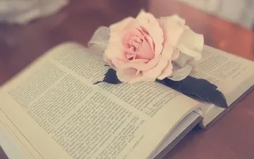 和书有关的名人名言