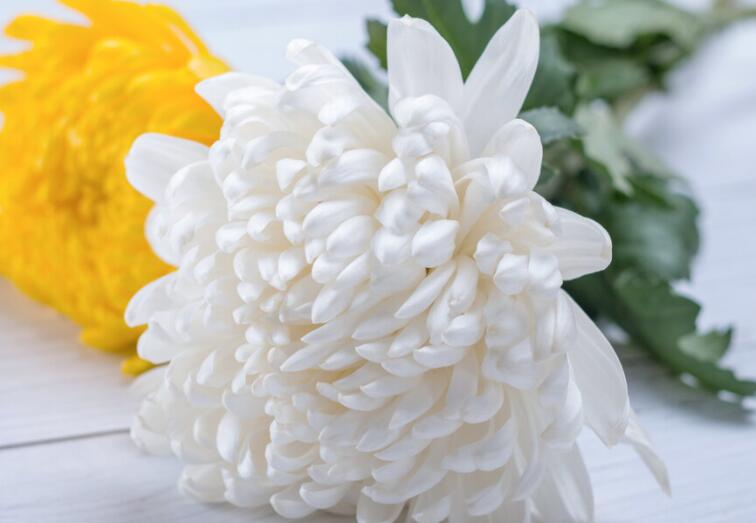 对去世婆婆的思念话语