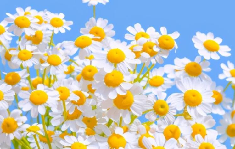 家庭烦心事太多的说说文案朋友圈