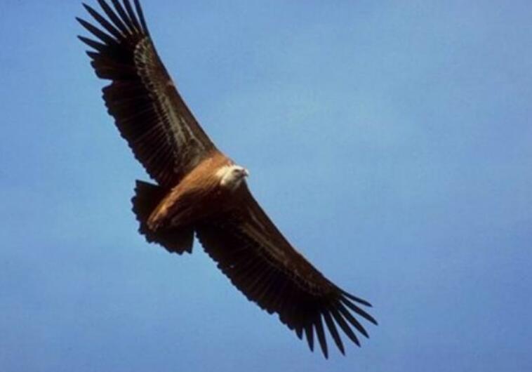 志向的名言警句