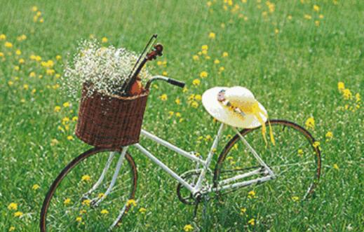 每天给自己一个微笑的句子文案