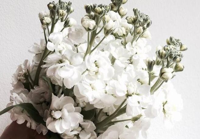 买一束花送给自己的说说文案