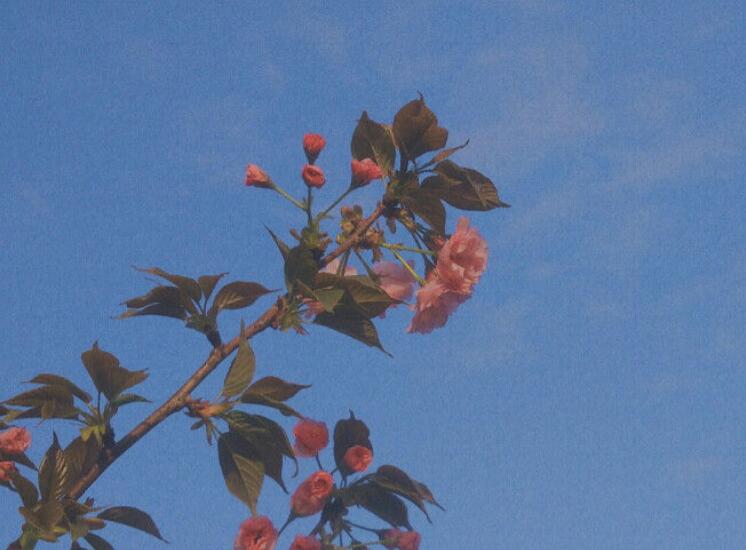 周末经典问候语