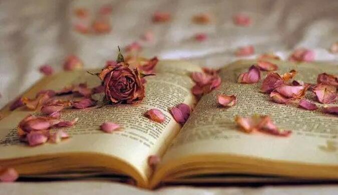 人要懂得知足的句子文案