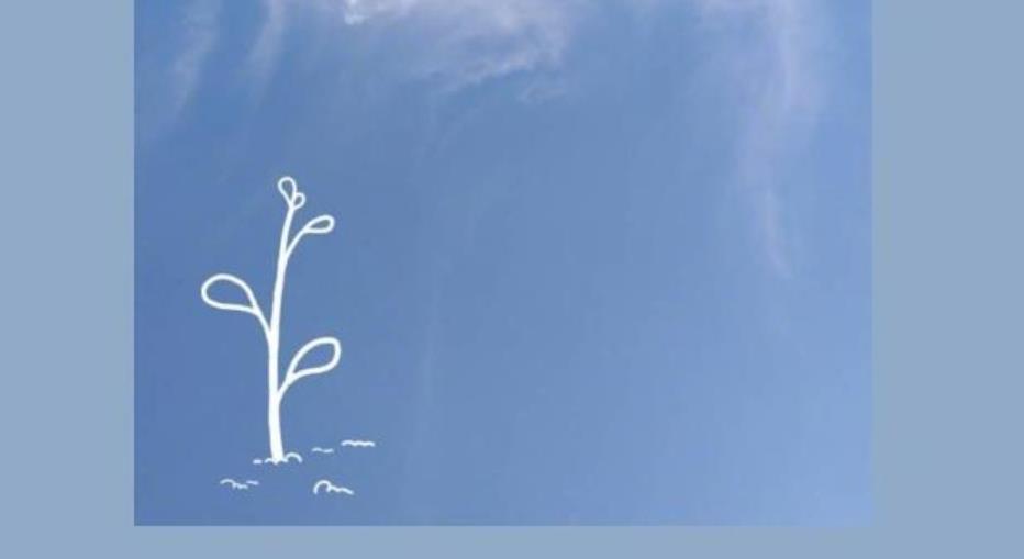 给恋人肉麻的早安心语