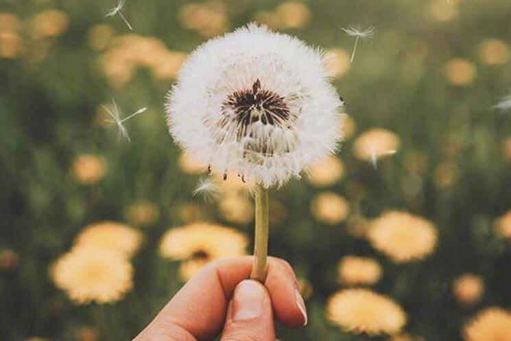 每天早上的祝福语大全