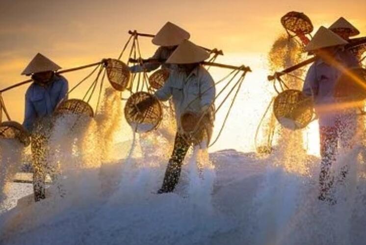 关于劳动的古诗大全(精选)