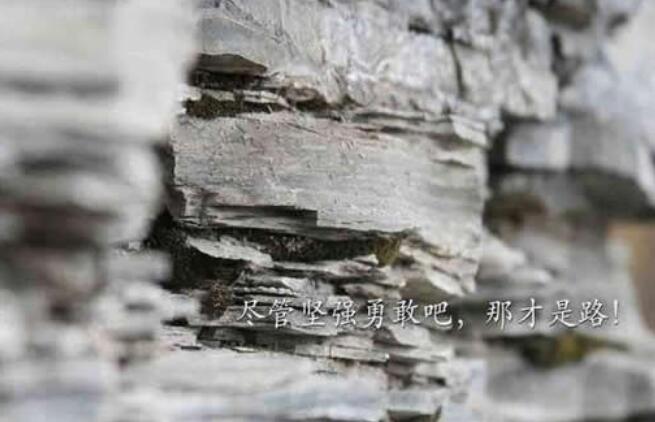 形容干事创业情怀的句子文案