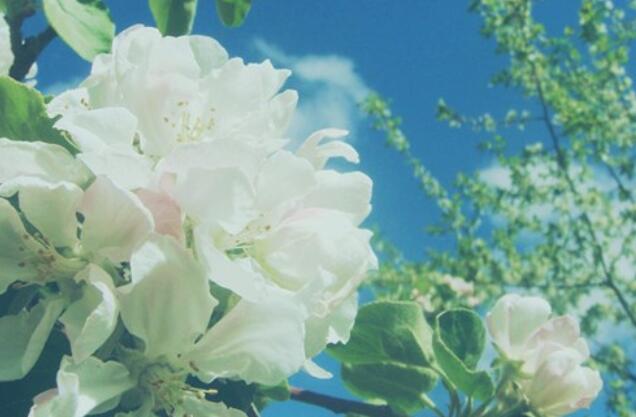 早上感悟说说文案心情短语