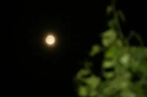 月圆的唯美句子文案