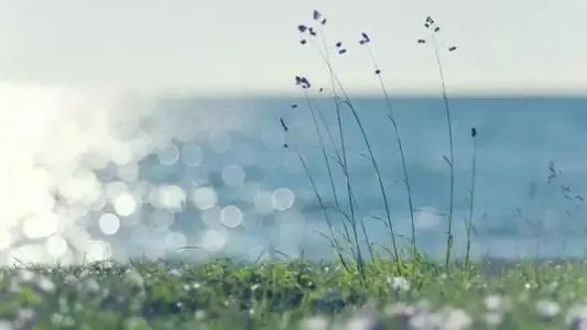 30岁回忆18岁经典句子文案