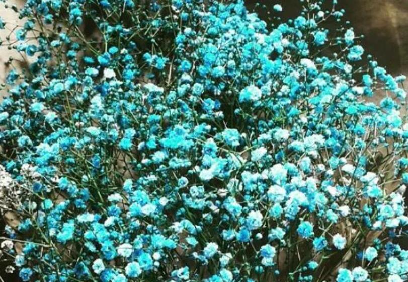 冷门又惊艳的句子文案