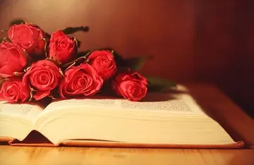 对待事业的经典语录文案