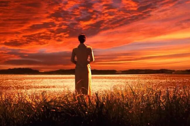 献给辛苦的女人句子文案