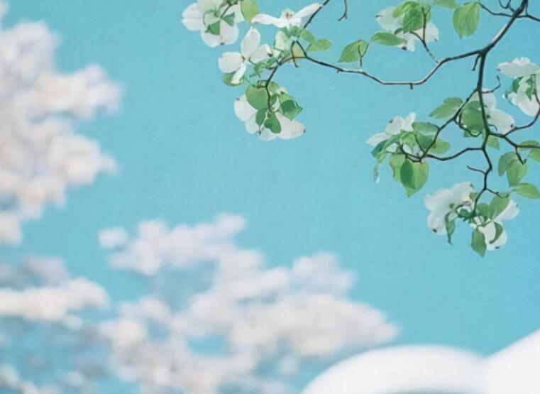 中午好老婆句子文案