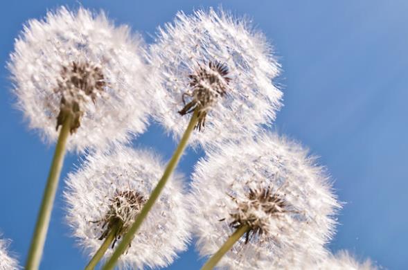 给刚处对象的女友的句子文案