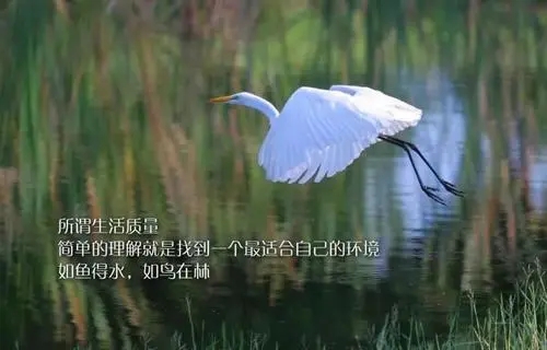 坚持笑到最后的名言