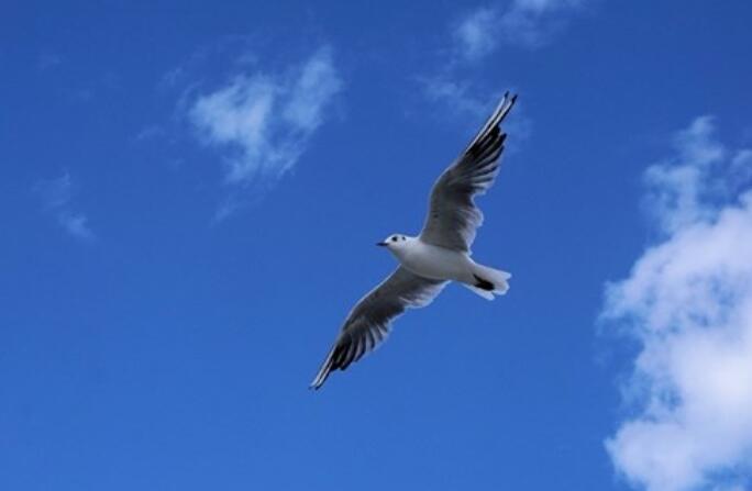 从学校到工作的句子文案