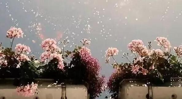 相遇又离别伤感的句子文案