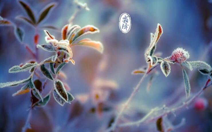 赞美霜降的诗句文案古诗