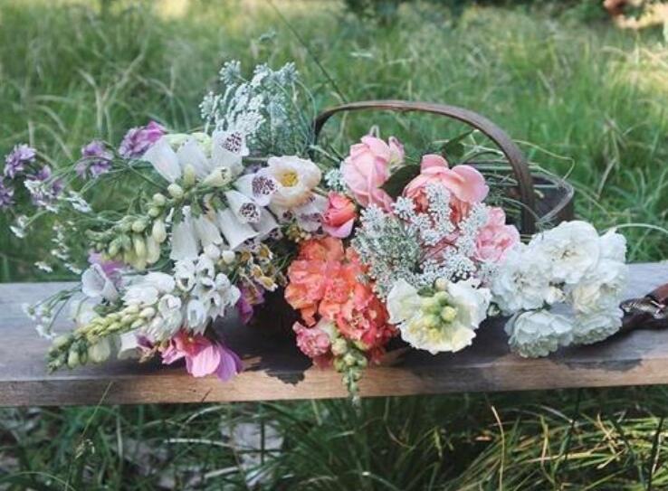 惊喜的说说心情句子文案