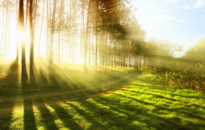 夏天生动优美的短句子文案