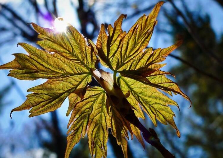 神仙励志语录文案