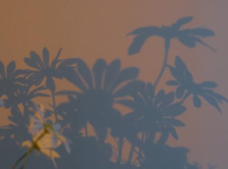 形容自己很迷茫的句子文案