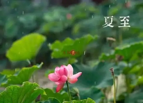 描写夏至的古诗二句