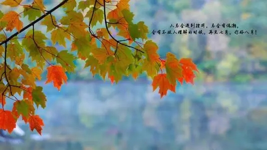 八月风景唯美句子文案