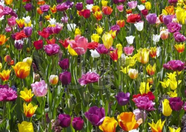 可爱温柔句子文案