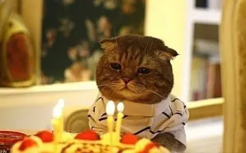 简短幽默的生日祝福语