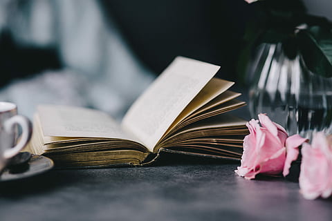 优美浪漫的爱情句子文案