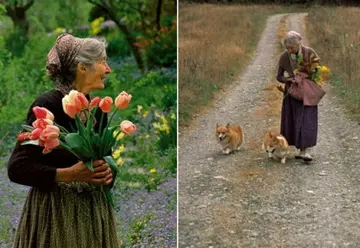 奶奶的句子文案