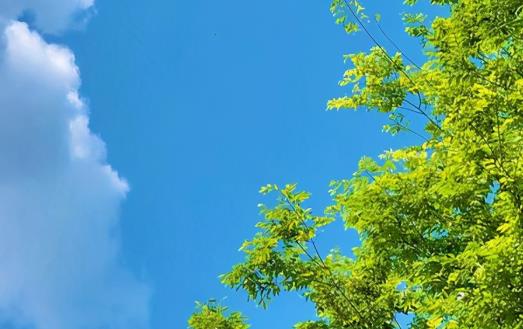 夏天的感受短句