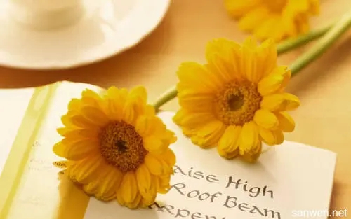 唯美句子文案优美