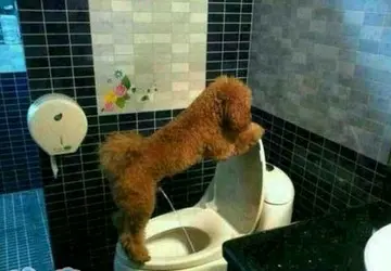 睡前搞笑幽默句子文案