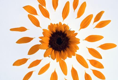 读书笔记名言警句摘抄大全集