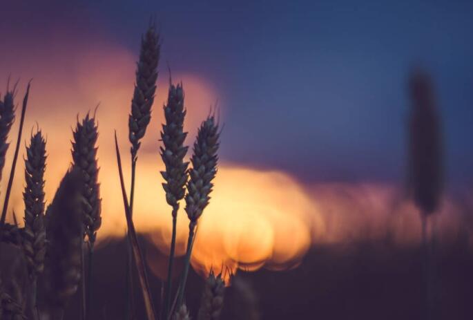 暖心八字短句小清新